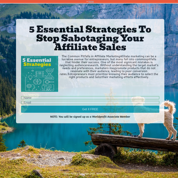 5 Essential Strategies you need on digital platform